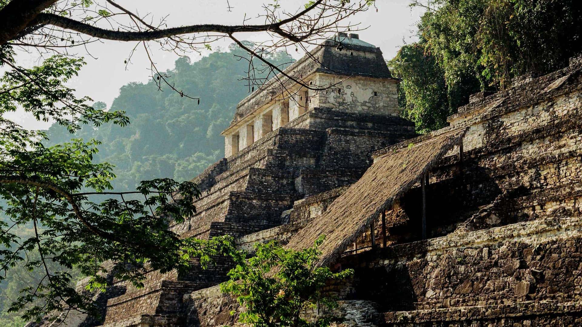 conoce Mexico viajando con nosotros